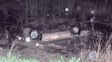 murio el conductor de una camioneta que cayo de un puente y quedo sumergida en un arroyo murio el conductor de una camioneta que cayo de un puente y quedo sumergida en un arroyo