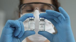 Proyecto argentino: usan caballos para diseñar un suero contra el Covid-19