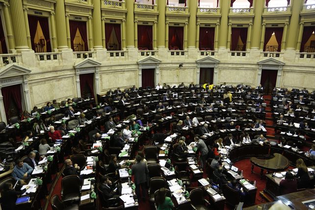 La ley de aborto legal obtuvo la media sanción de la Cámara de Diputados