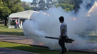 Dengue: se incrementaron los casos en Rosario y hay cambio de fase epidemiológica.