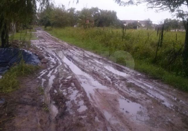 Vecinos de Liceo Norte piden obras por las calles intransitables
