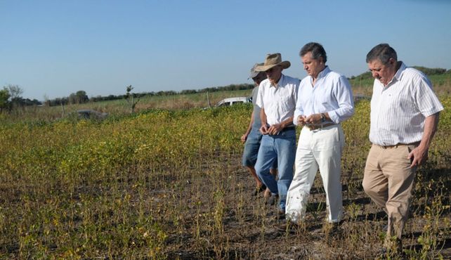 El Gobierno nacional declaró la emergencia agropecuaria en Entre Ríos por sequía