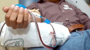 Hay 9.322 donantes voluntarios de médula ósea en la provincia