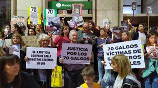 Foto vía Twitter: @MarianoMolinari