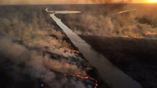 Los incendios se agravan porque hace tres años y medio que la Argentina padece una sequía importante y una bajante pronunciada del río Paraná