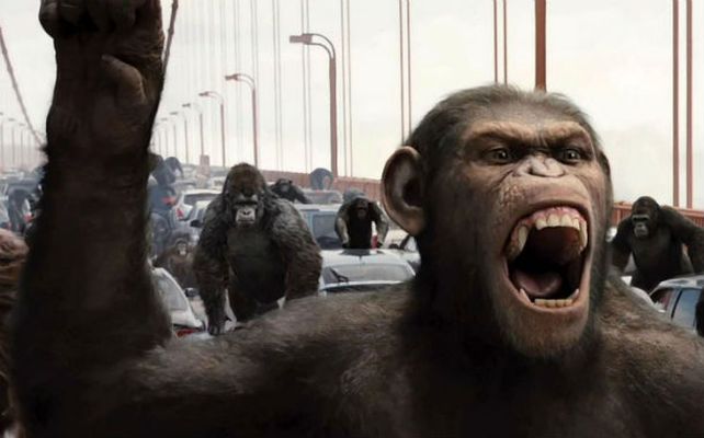 Enfrentados. Los simios tienen el control después de que los humanos terminaran diezmados. Pero ahora quieren recuperar el control.