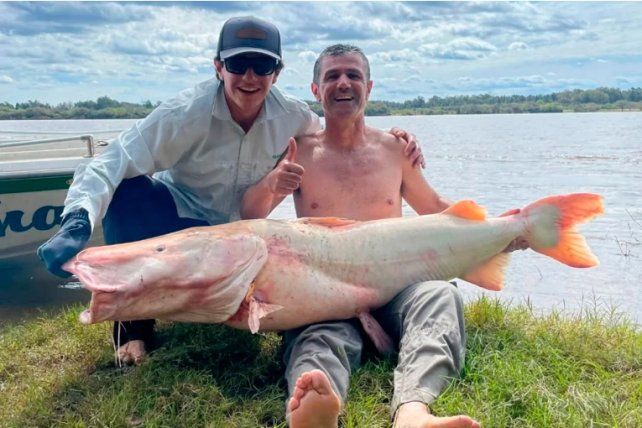 Pescadores capturaron un surubí albino de 50 kilos y lo devolvieron al río Uruguay