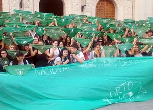 La Campaña por el Derecho al Aborto pide audiencia con la ministra de Salud