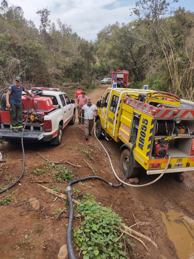 La delegación de bomberos santafesinos combate el fuego en sectores de selva paranaense y explotaciones forestales de pinos y eucaliptus. (Foto: misionescuatro.com)