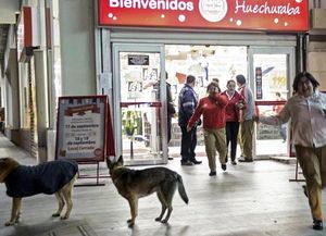 También en Perú temen por la posibilidad de un tsunami