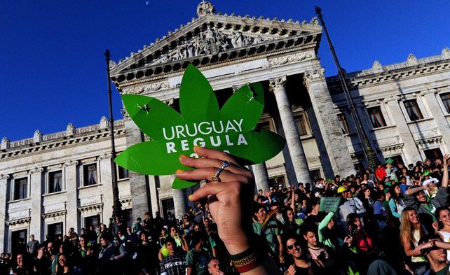 Todas las personas que cumplan con los requisitos solicitados por la ley podrán acceder a la compra de marihuana.