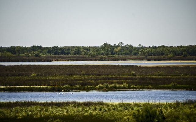 Parque Nacional Ciervo de los Pantanos.&nbsp;