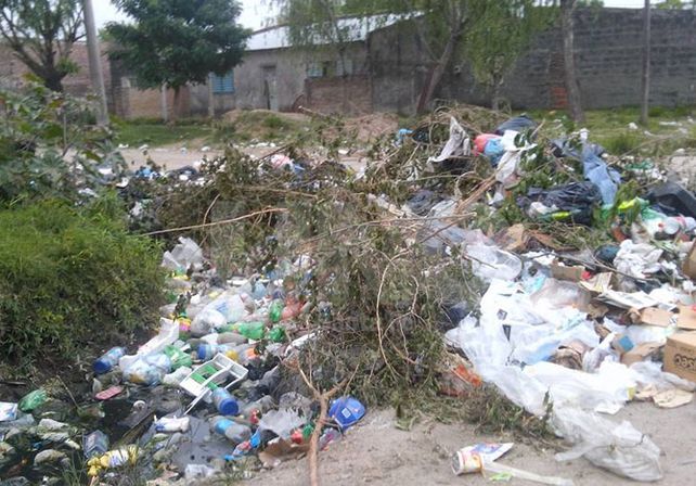 Evitar la acumulación de basura. Ese es el principal motivo que impulsa la vecinal. Además