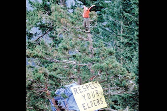 La mujer que subió a un árbol para evitar su tala y no bajó en dos años