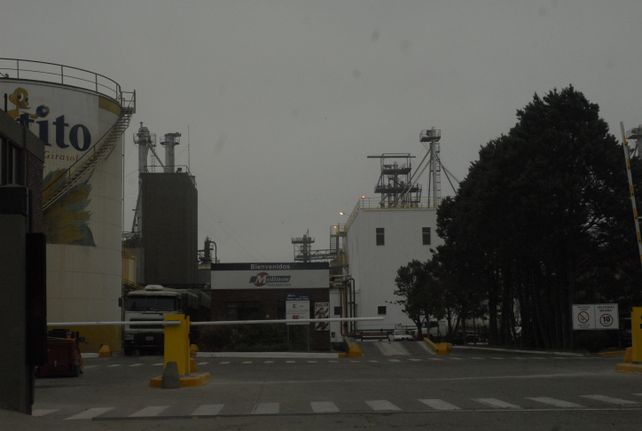 Molinos vendió parte de los activos de la aceitera Santa Clara. Proyectan inversión.