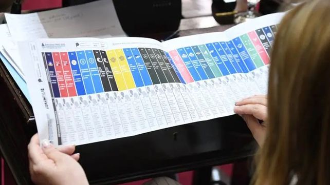 La implementación de la Boleta Única de Papel&nbsp; (BUP) se aplicará solo en comicios nacionales. Ventajas y desventajas señaladas por un experto