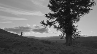 Cuentos de la tierra, un relato poético del mundo mapuche en la Patagonia