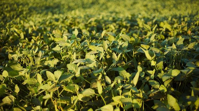El campo mira con atención una reedición de la Niña por los estragos que generó su último paso.&nbsp;