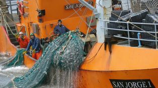 Hallaron el cuerpo de un marinero desaparecido en un naufragio