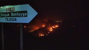 Confían que el incendio en las Canarias podría ser controlado en horas