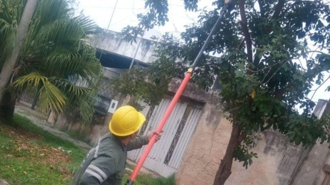 Plan de Poda: la Municipalidad de Santa Fe comenzó con los trabajos en distintos barrios de Santa Fe