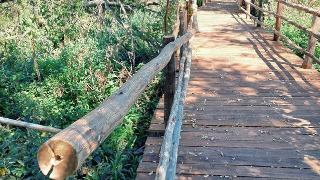 El proyecto turístico que contempla al Islote Curupí