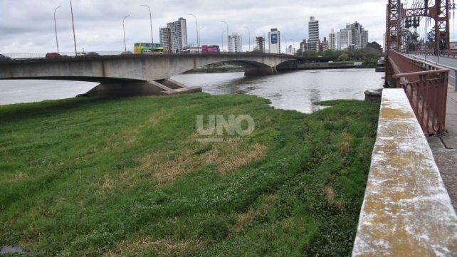 Preocupación en los clubes náuticos por el crecimiento del embalsado en el Richo Santa Fe. Foto: José Busiemi / UNO Santa Fe