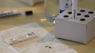 Coronavirus en Argentina: hubo 8.317 nuevos contagios y 349 víctimas fatales