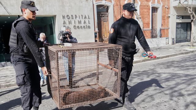 En qué provincias es más probable chocar contra un animal?