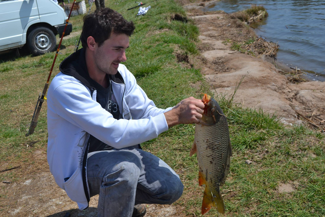 La carpa común, carpa europea o simplemente carpa es un pez de agua dulce, emparentado con la carpa dorada y prolifera en la laguna