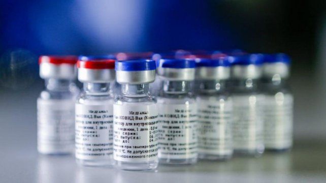 Gran expectativa por el desarrollo de la vacuna Sputnik V.
