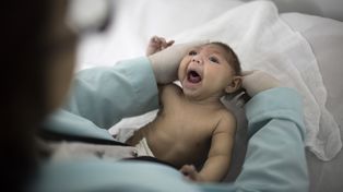 Miles de niños podrían nacer con trastornos en Latinoamérica