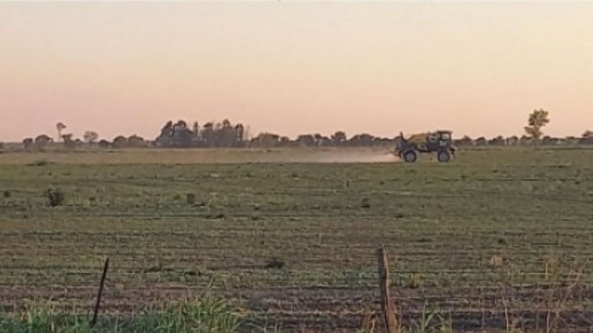 La carga impositiva absorbe más de la mitad de la renta que genera el campo