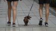 El tiempo en Rosario: la temperatura sube este miércoles y seguirá en alza