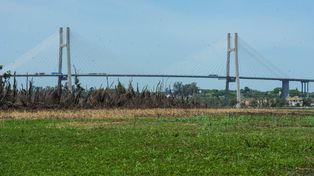 Isla de los Mástiles: cuestionan una concesión para explotación comercial