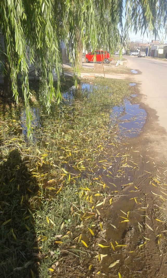 Advertencia. Los vecinos aseguran que ante una lluvia fuerte hay casas que van a sufrir anegamientos.