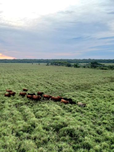 Rosario será sede de un foro sobre agricultura regenerativa y producción sustentable