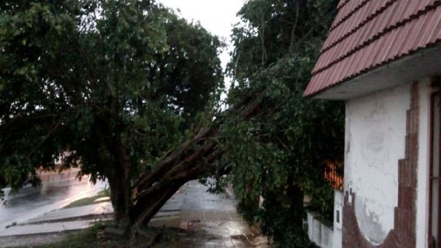 Una cola de tornado afecto al menos 10 cocheras y vehículos en barrio Paraná II