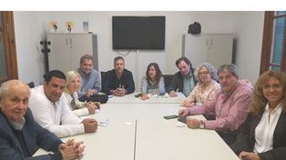 Diputados del PJ quieren reformar la Constitución