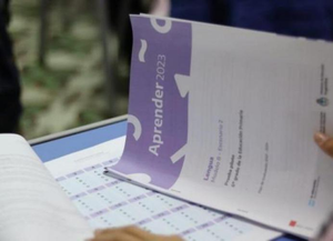 Pruebas Aprender: hubo retroceso en Matemática y avance en Lengua