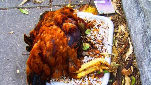 Dos personas fueron heridas de bala en medio de un ritual umbanda