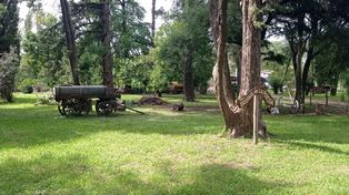 Noticias sobre Bosque de la Poesía