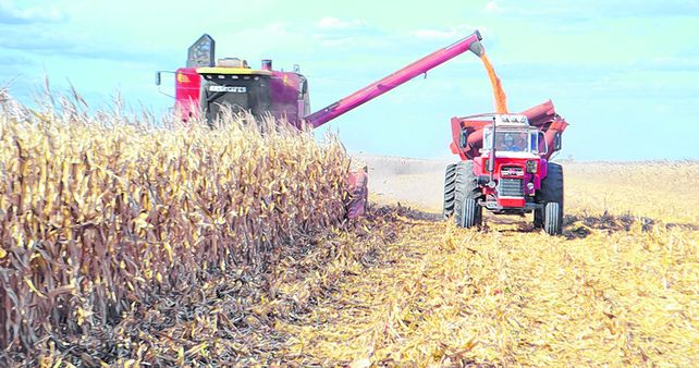 Campaña 2023/24. El ingreso por exportaciones del complejo agrícola sería de u$s 34.300 millones.