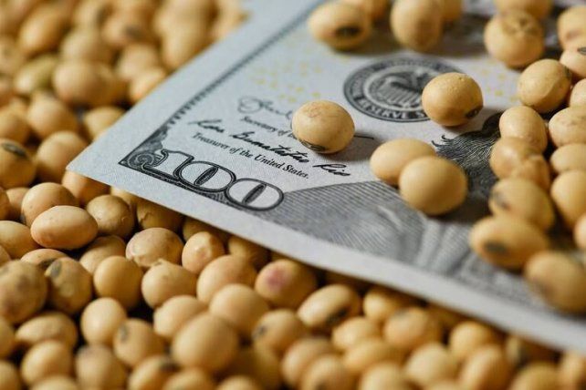 Productores tuvieron un retorno por dólar gastado del 10