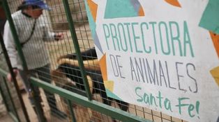 La Sociedad Santafesina Protectora de Animales tiene terreno propio