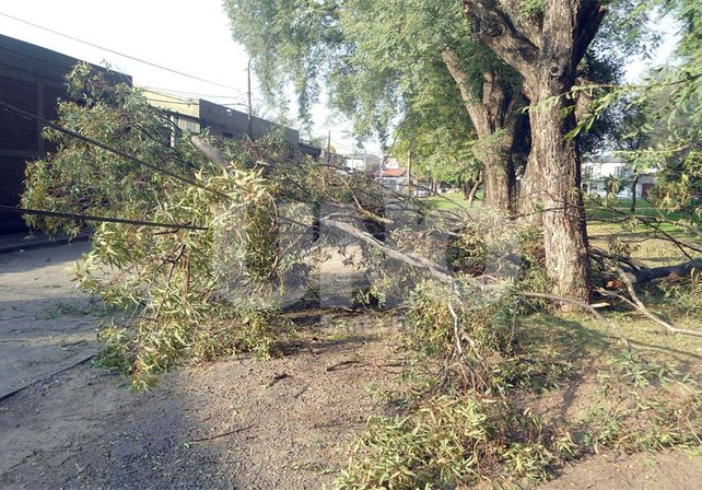 Inconvenientes. Las tipas