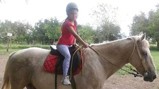 Apareció Pimienta, el caballo para hacer equinoterapia que se habían robado