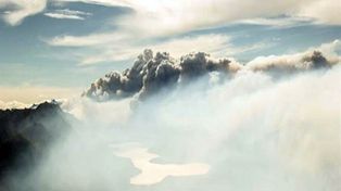 Un incendio forestal afectó al Parque Nacional Los Alerces, pero fue apagado