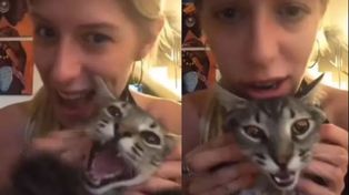 Camila fue duramente criticada en las redes sociales por la forma como trató a un gato en un video.&nbsp;