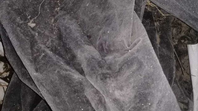 Im&aacute;genes de la helada de este viernes en el paraje La Balsa de Villa Urquiza